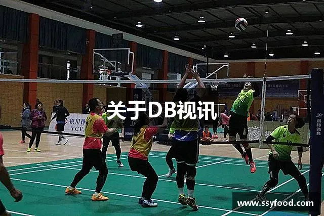关于DB视讯